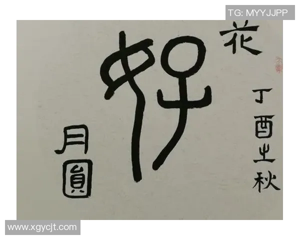 骚客足球：探寻激情与梦想交织的绿茵传奇之旅